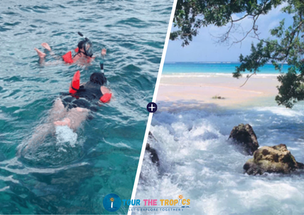 Coastline Snorkeling With Laughing Waters Falls & Beach